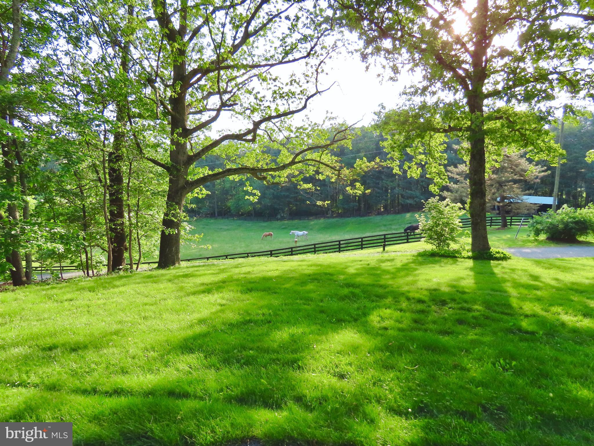 LUCKETTS - Residential