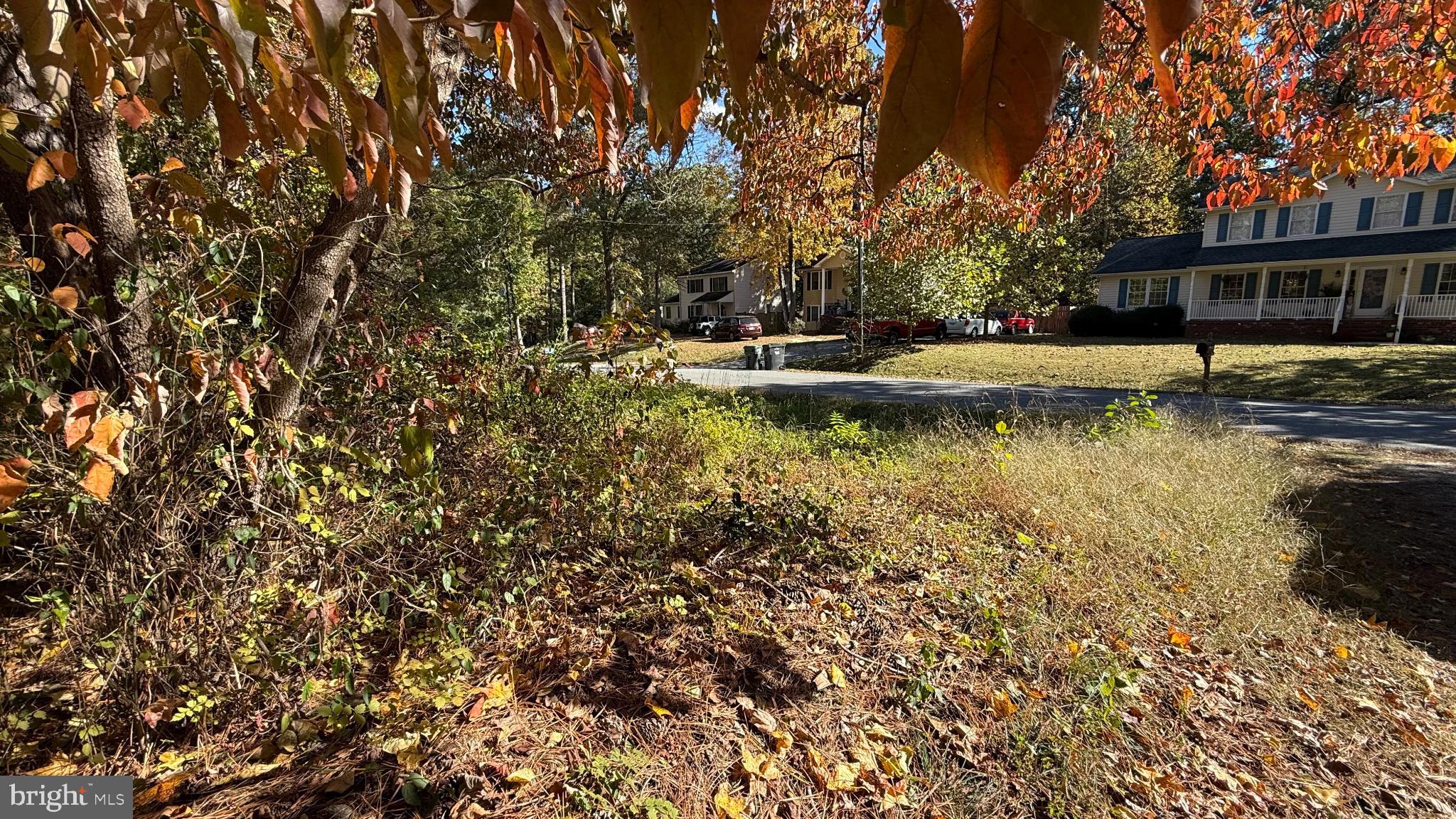 LAKE CAROLINE - Land