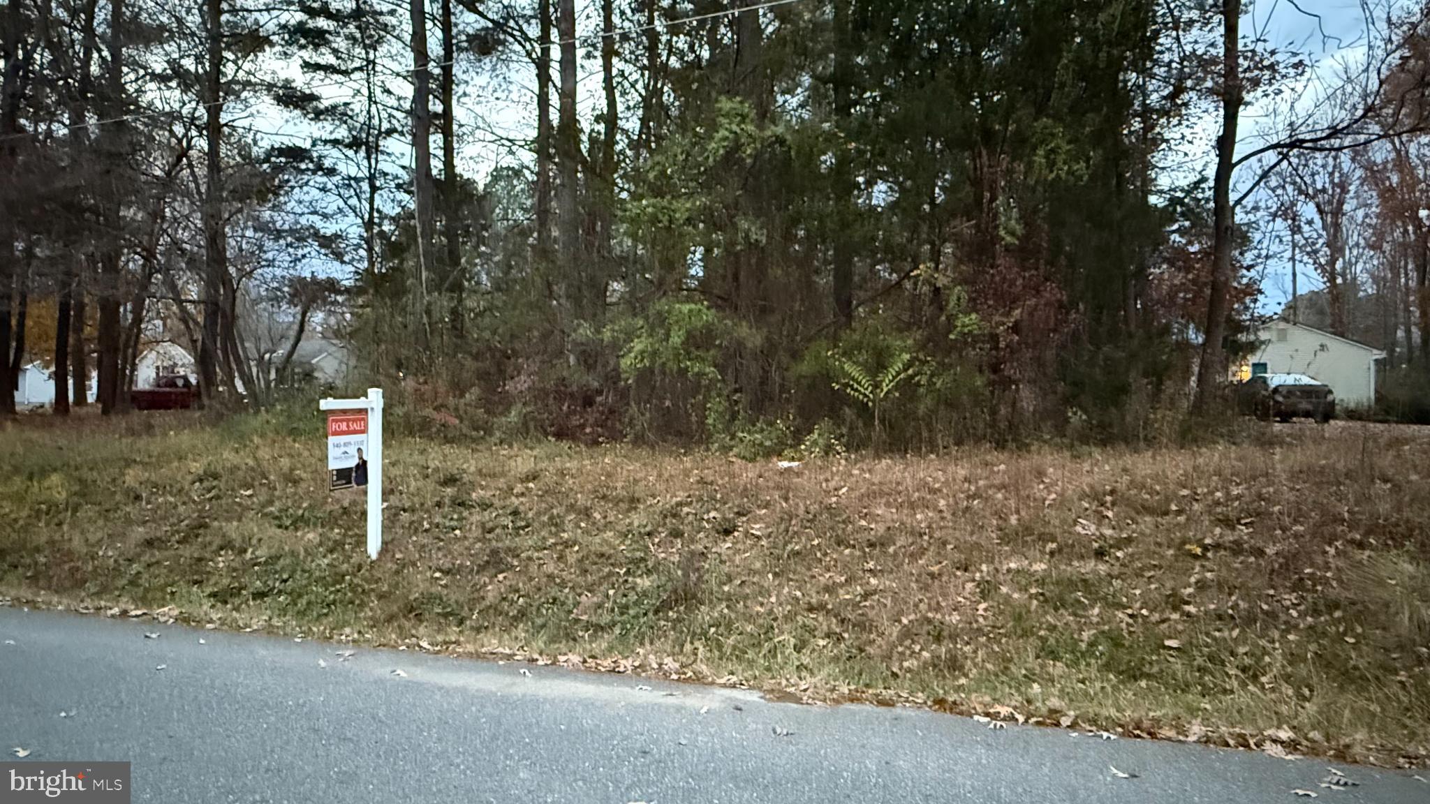 LAKE CAROLINE - Land