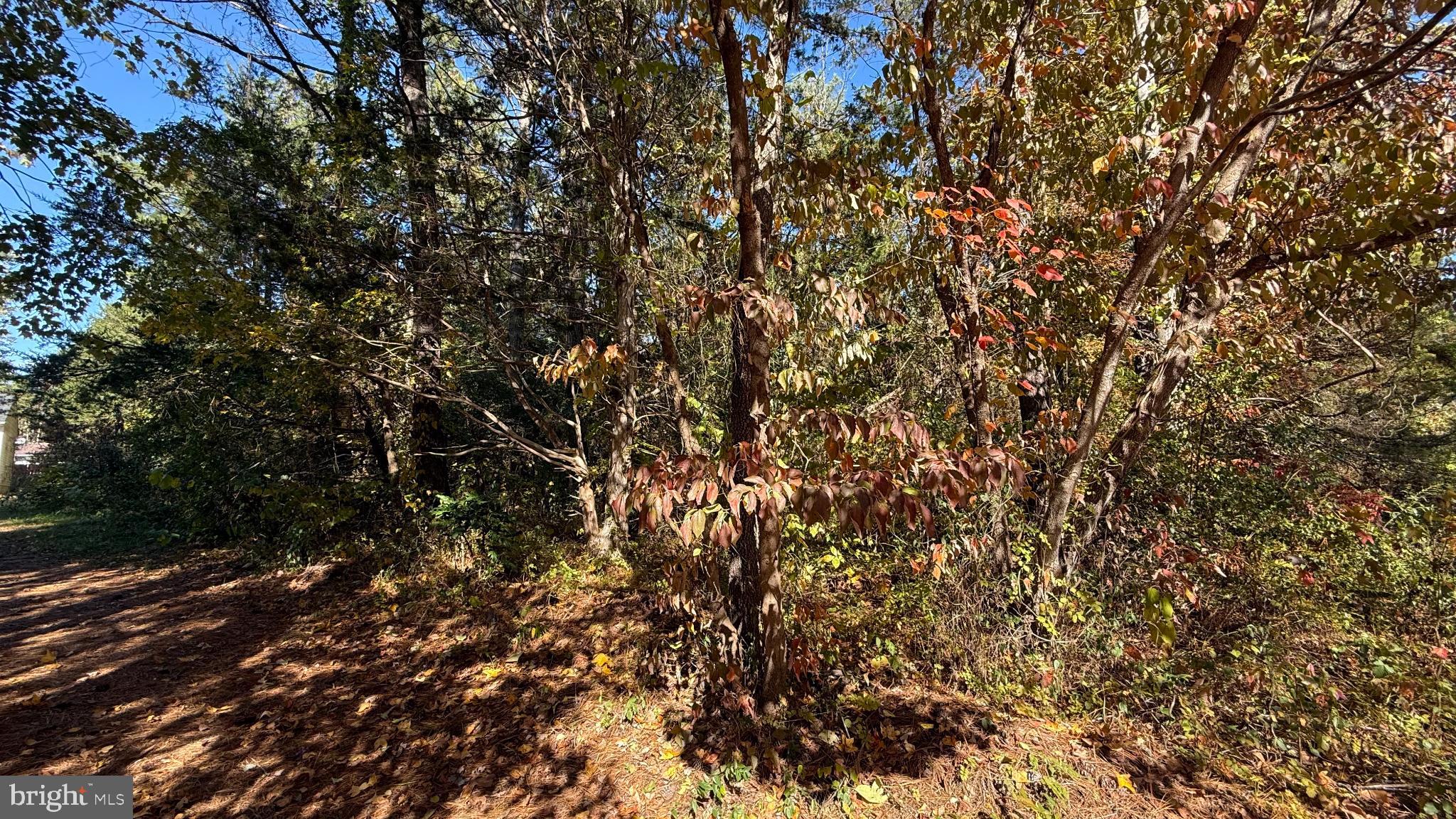 LAKE CAROLINE - Land