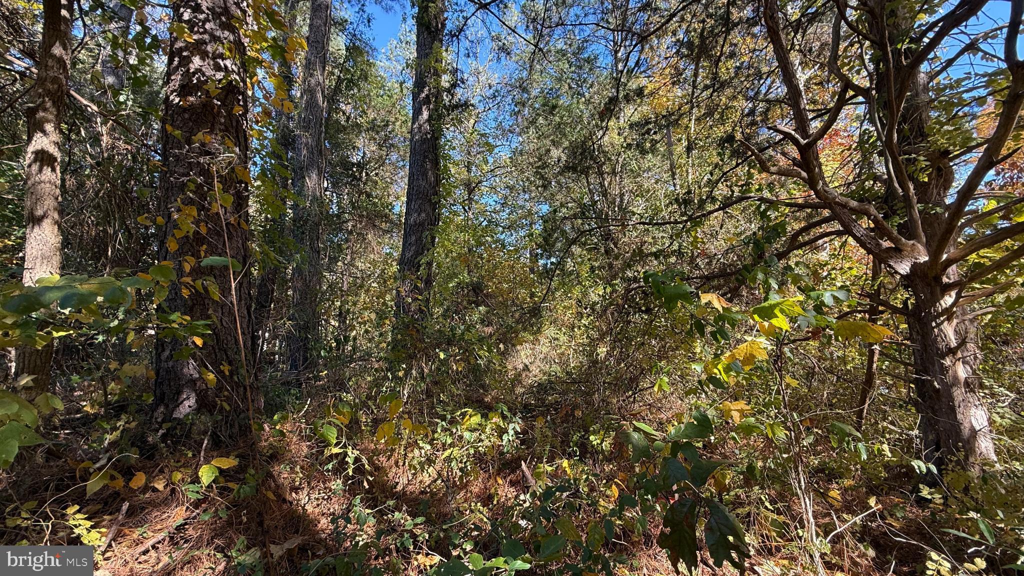 LAKE CAROLINE - Land