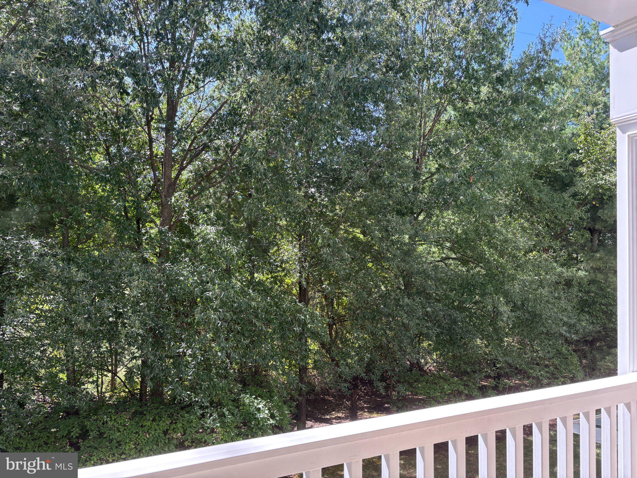 20365 BELMONT PARK TERRACE 103