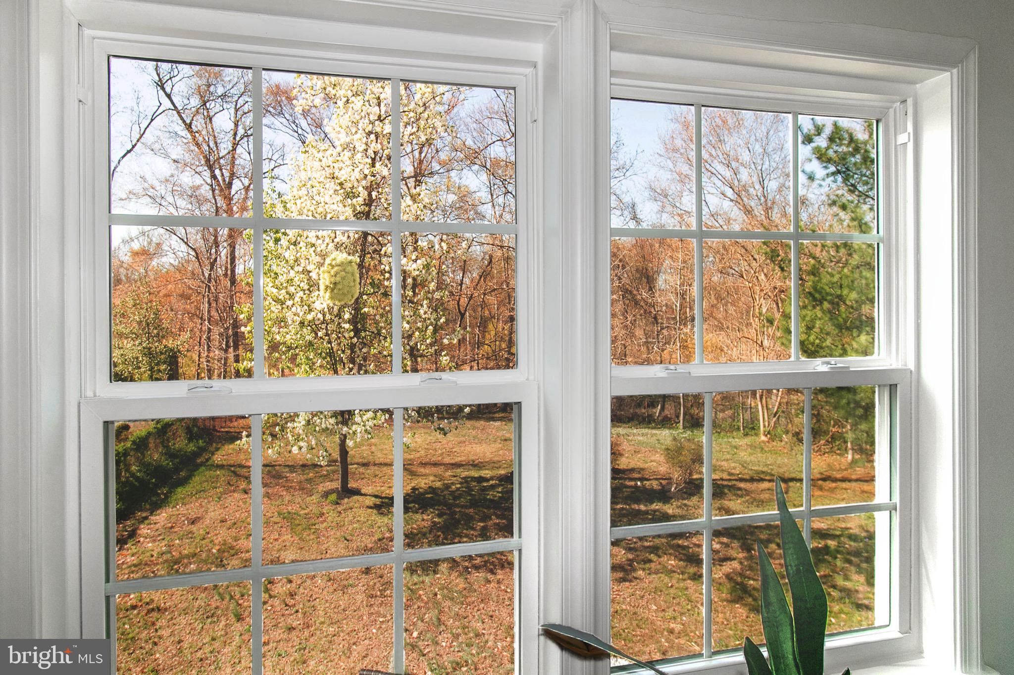 FORT HUNT - Residential