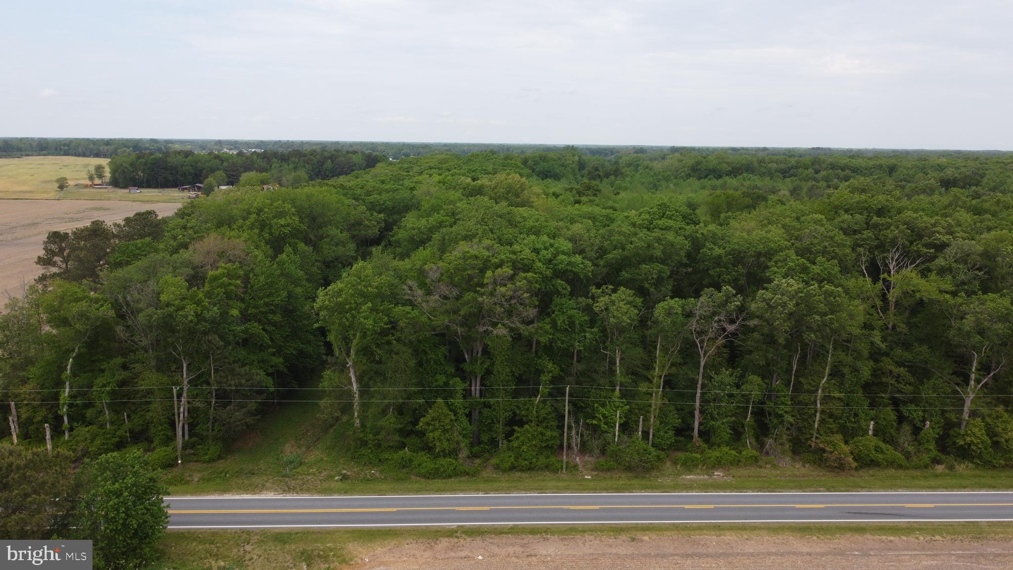 Lot 12 CEDAR GROVE CHURCH ROAD