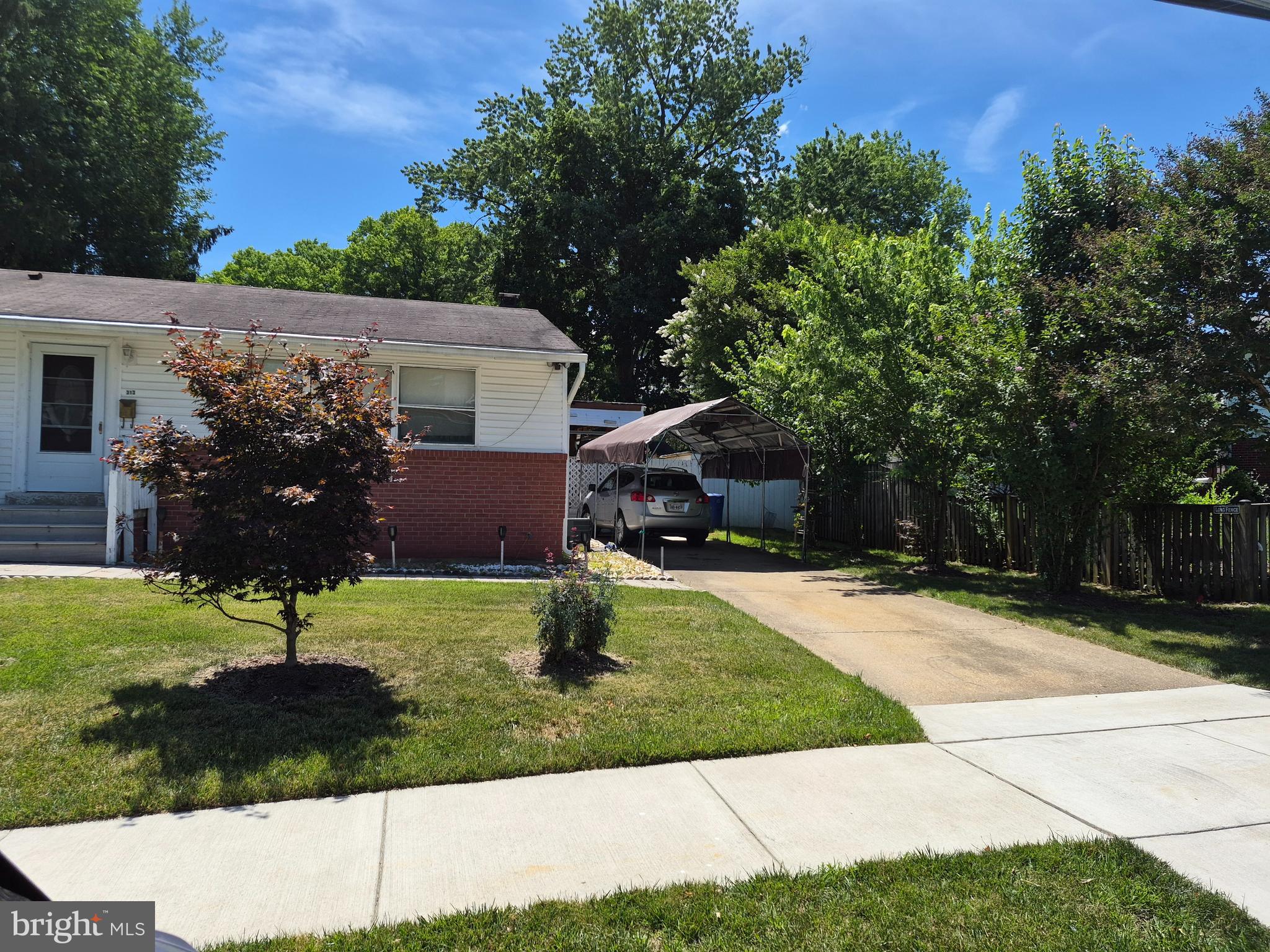 313 LOCUST STREET SE