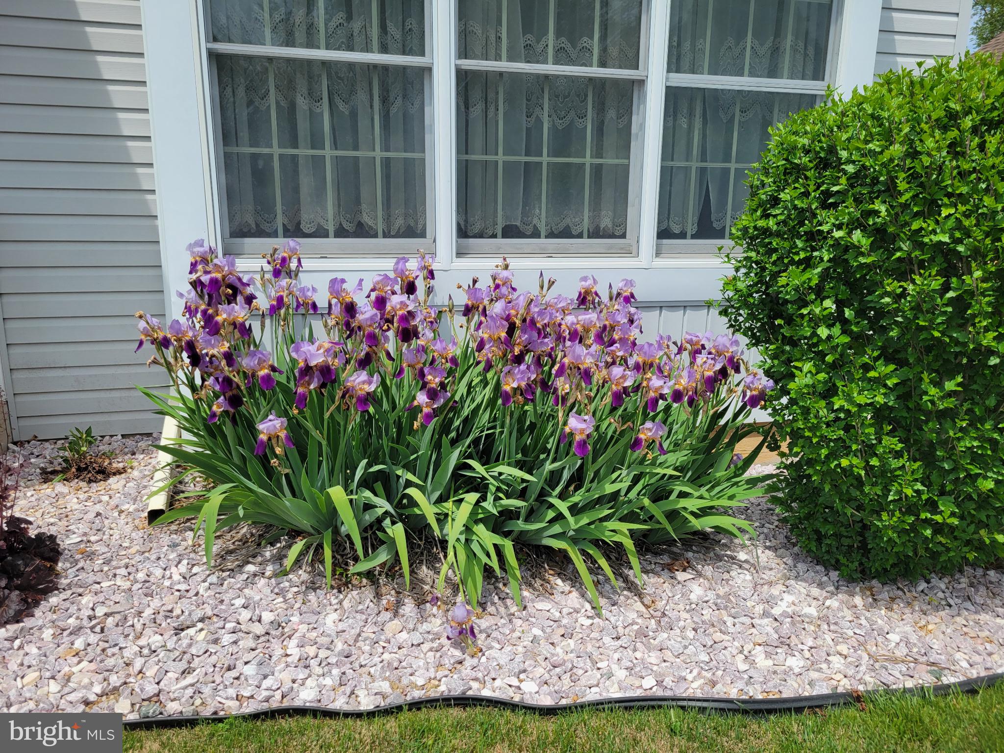 VAN LEAR - Residential