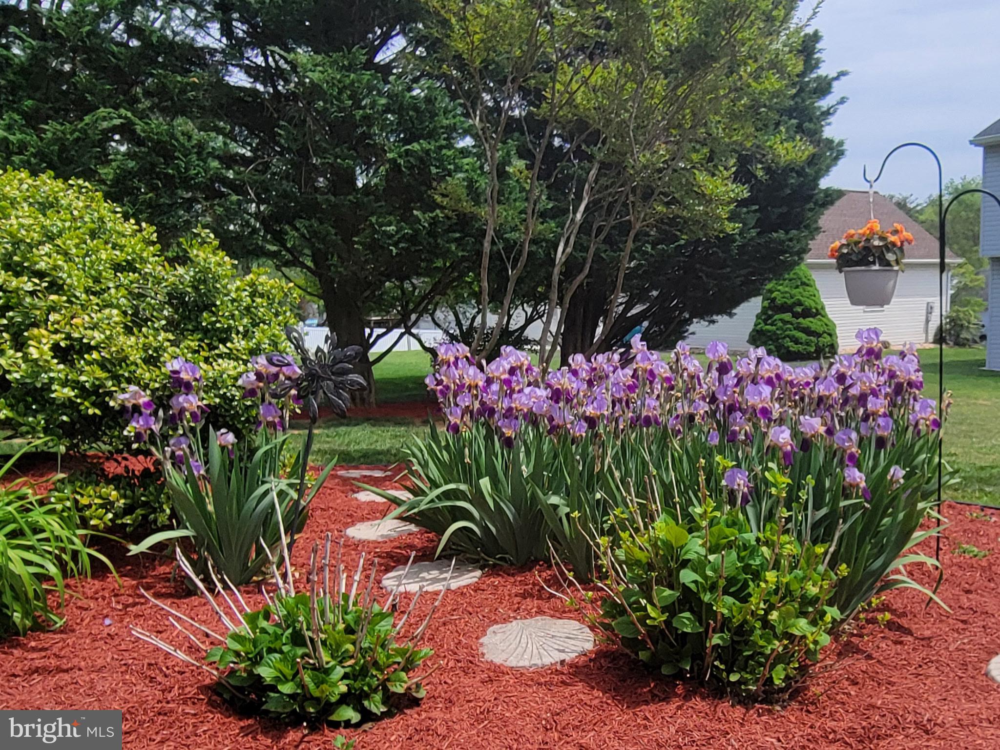 VAN LEAR - Residential