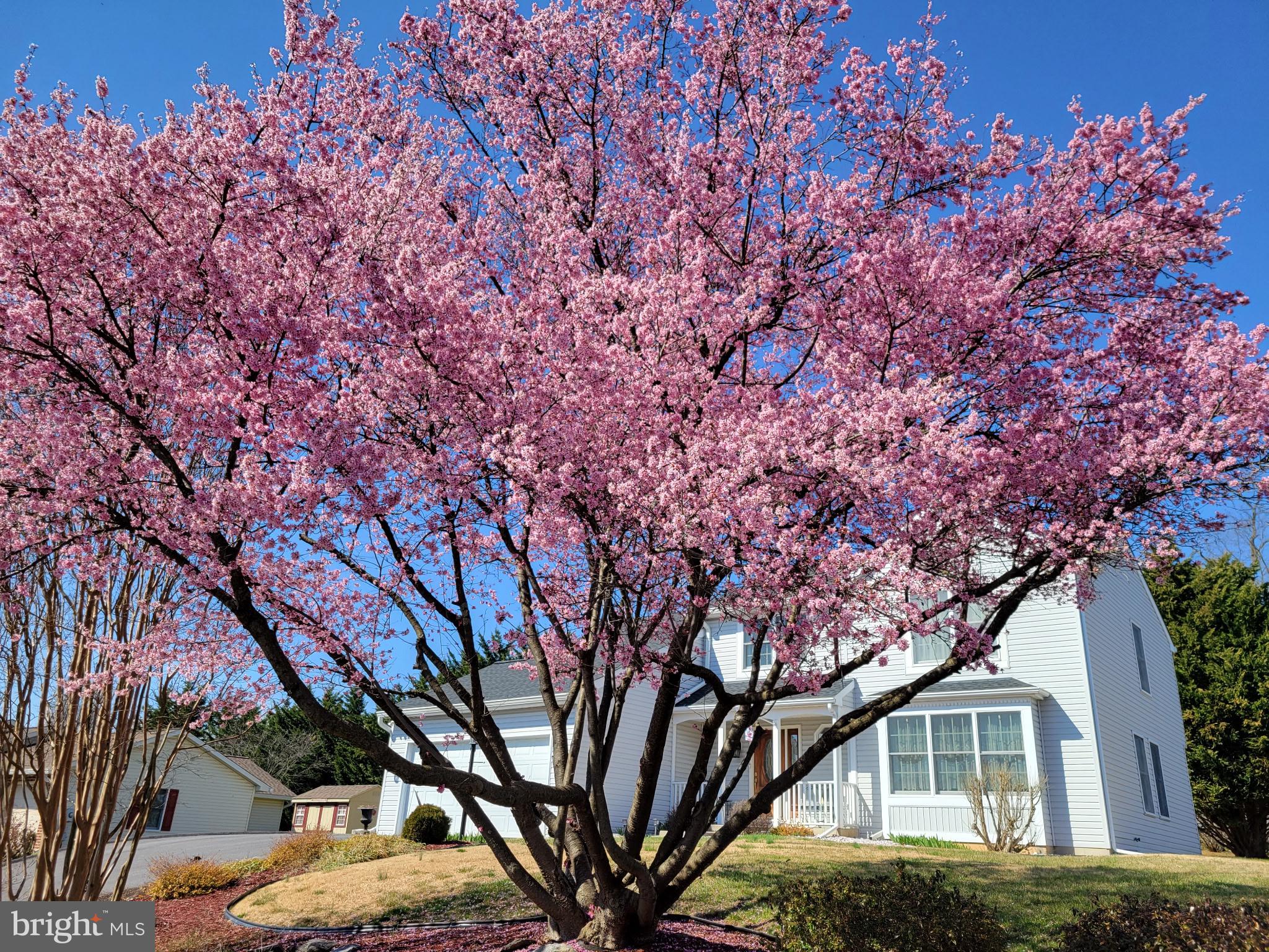 VAN LEAR - Residential