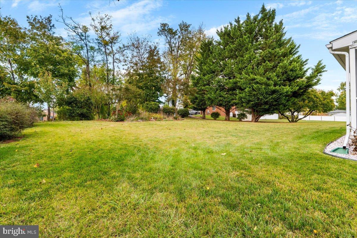 VAN LEAR - Residential