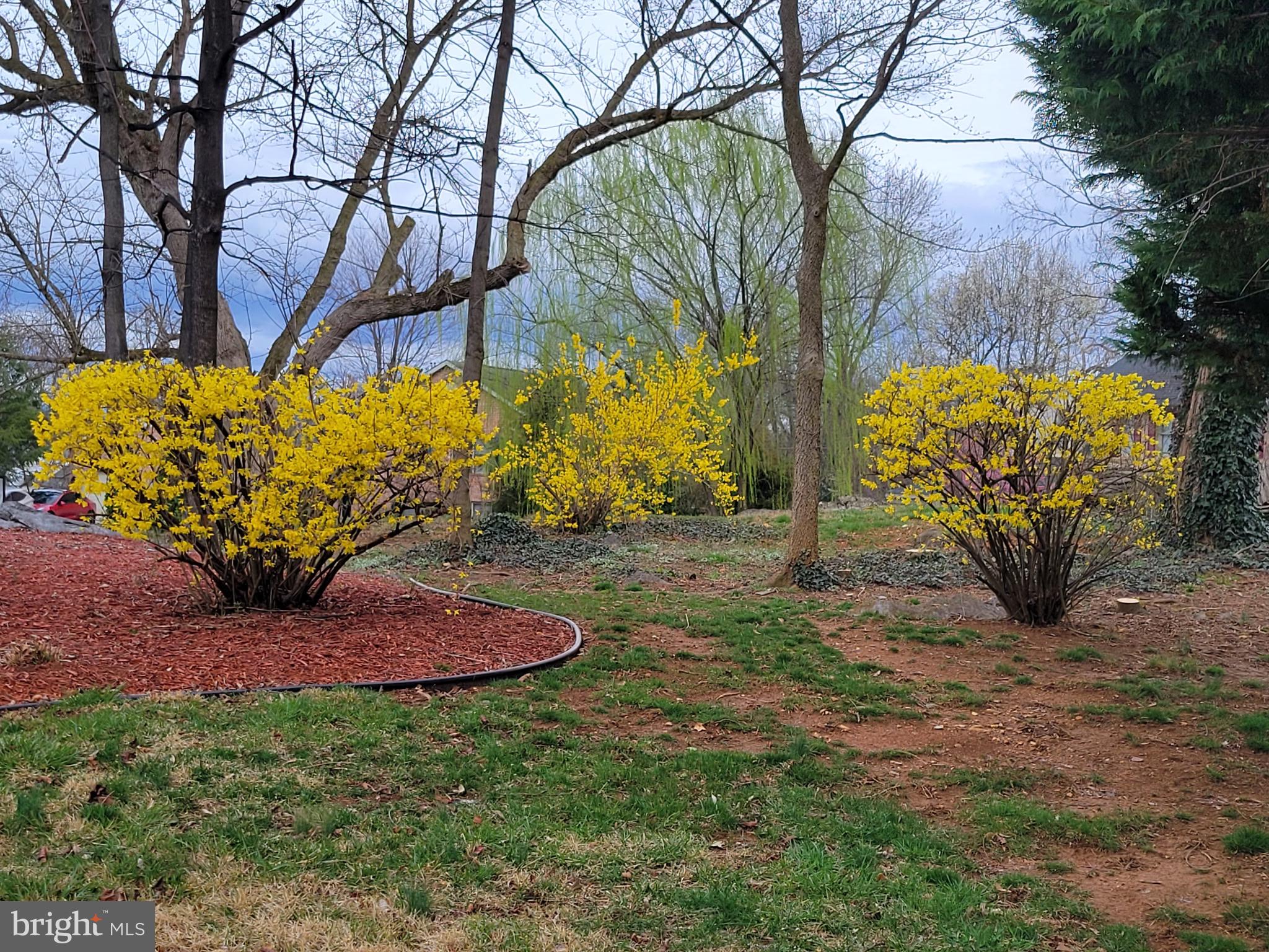 VAN LEAR - Residential