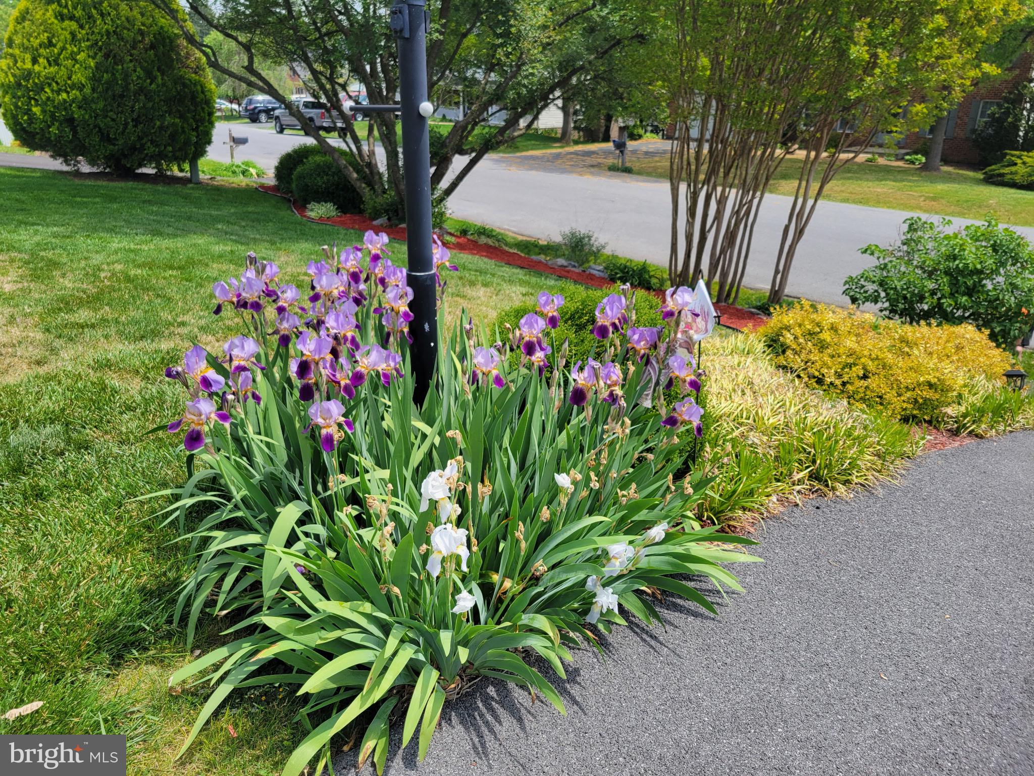 VAN LEAR - Residential