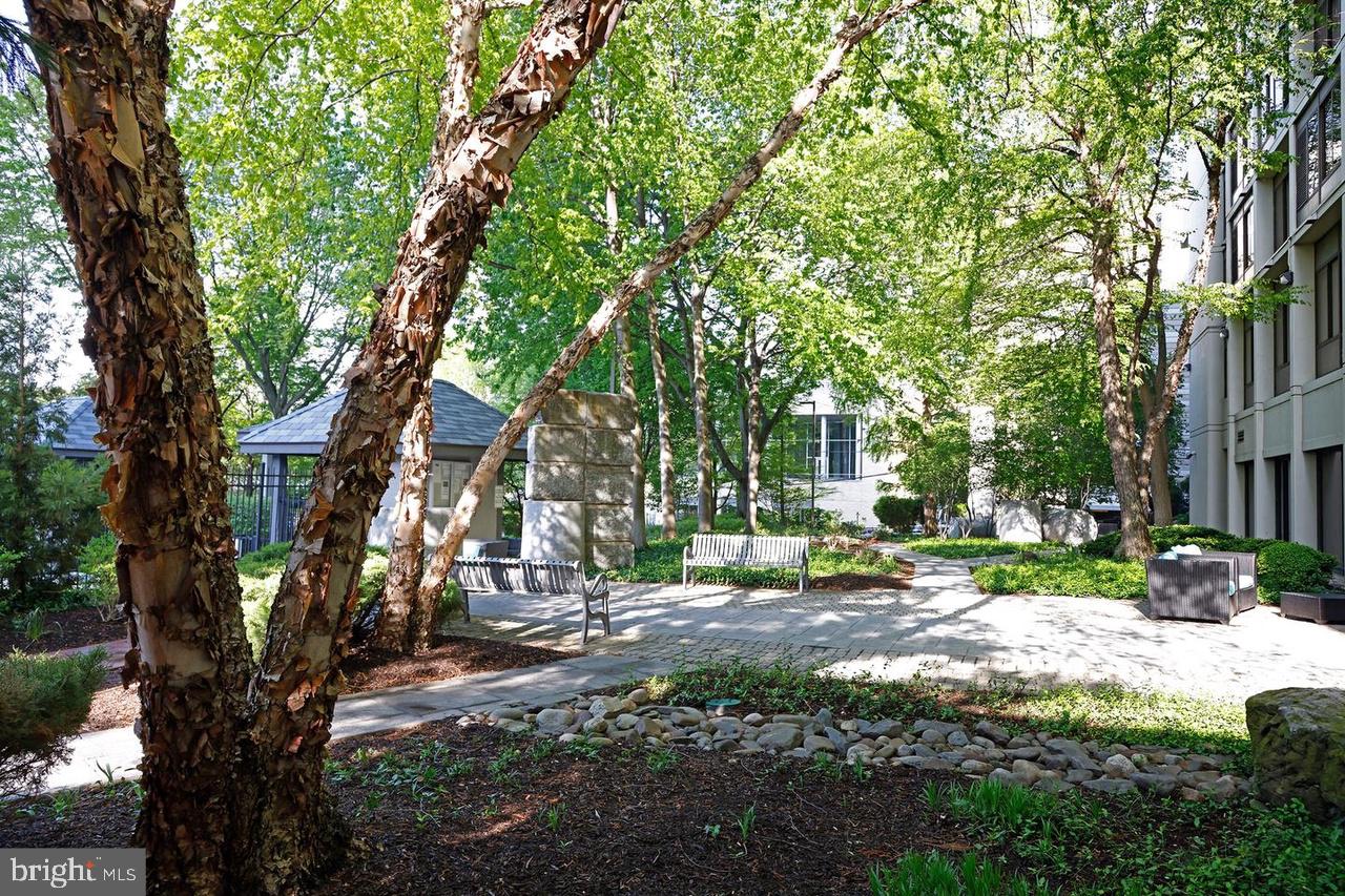 ART MUSEUM AREA - Residential