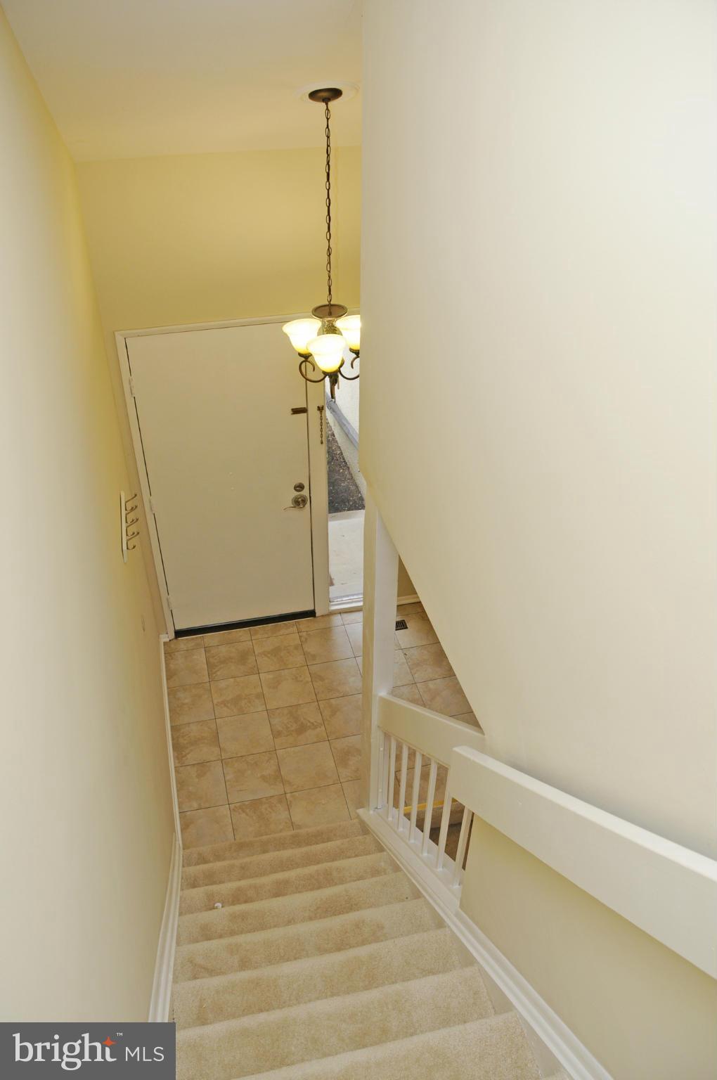 CLARY'S FOREST - Residential Lease