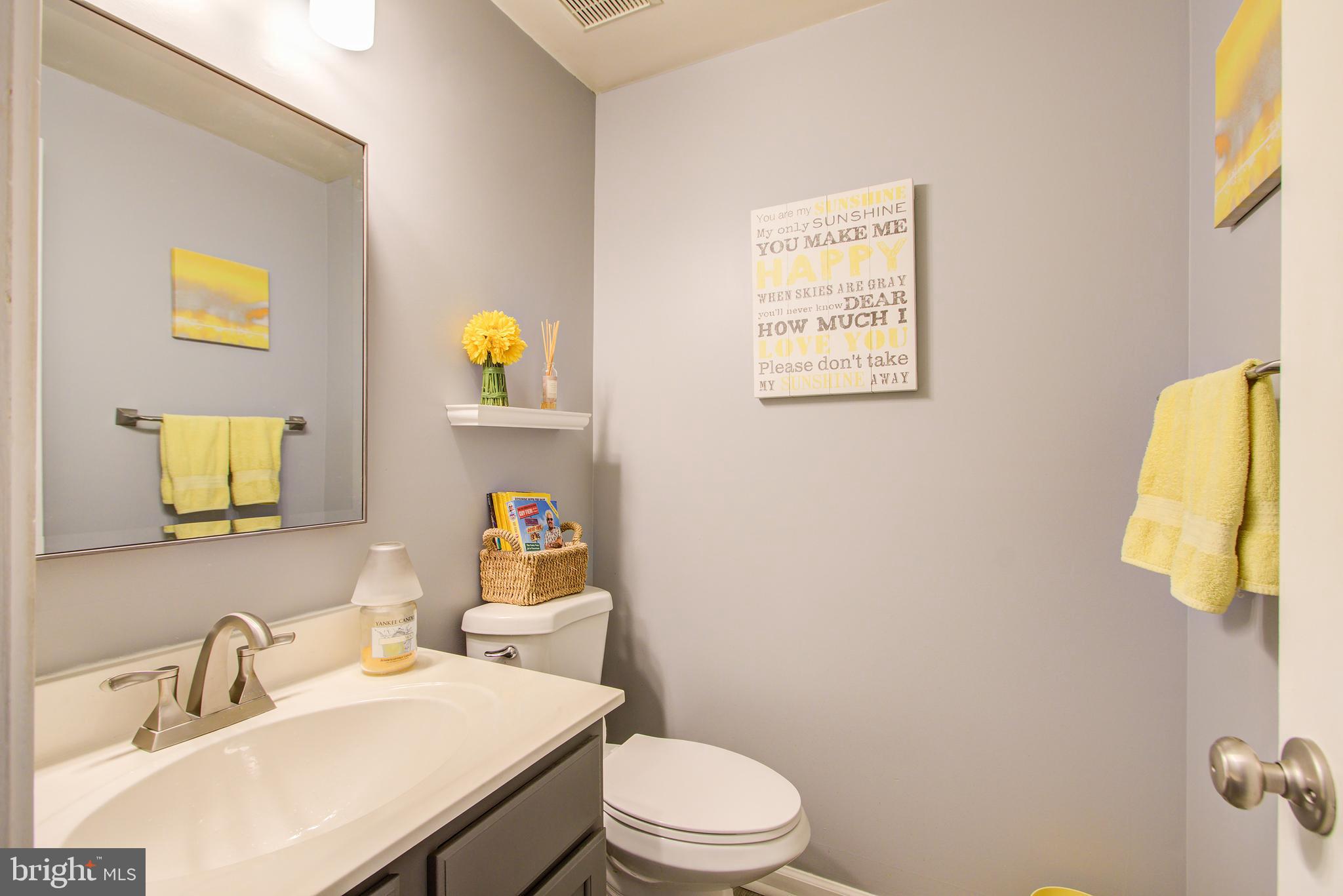 GREAT FALLS CHASE - Residential