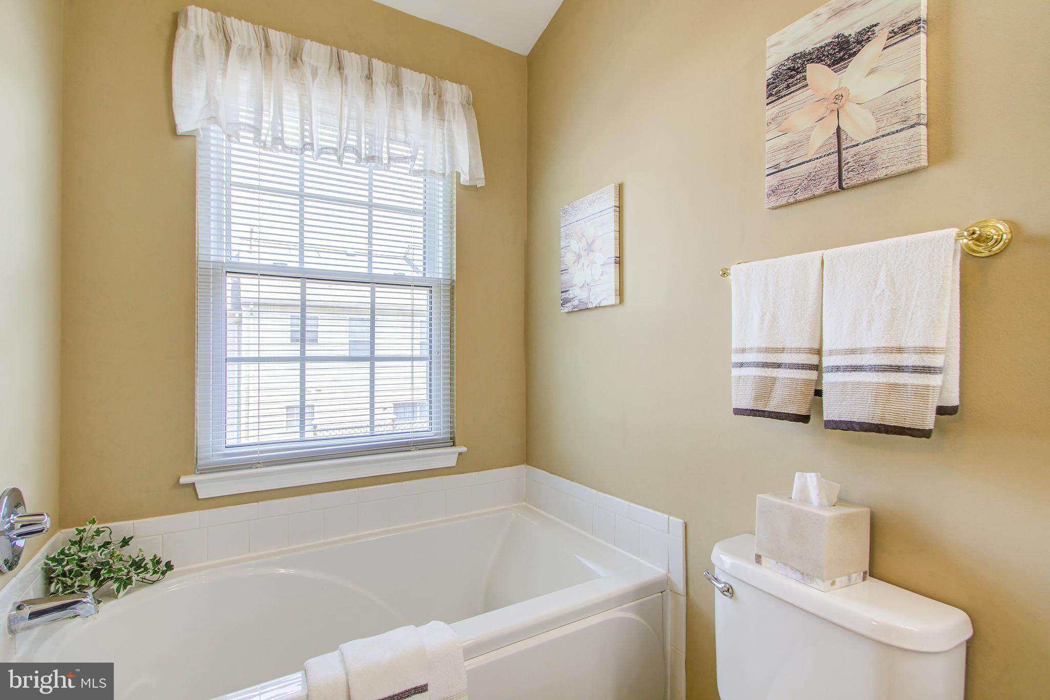 GREAT FALLS CHASE - Residential