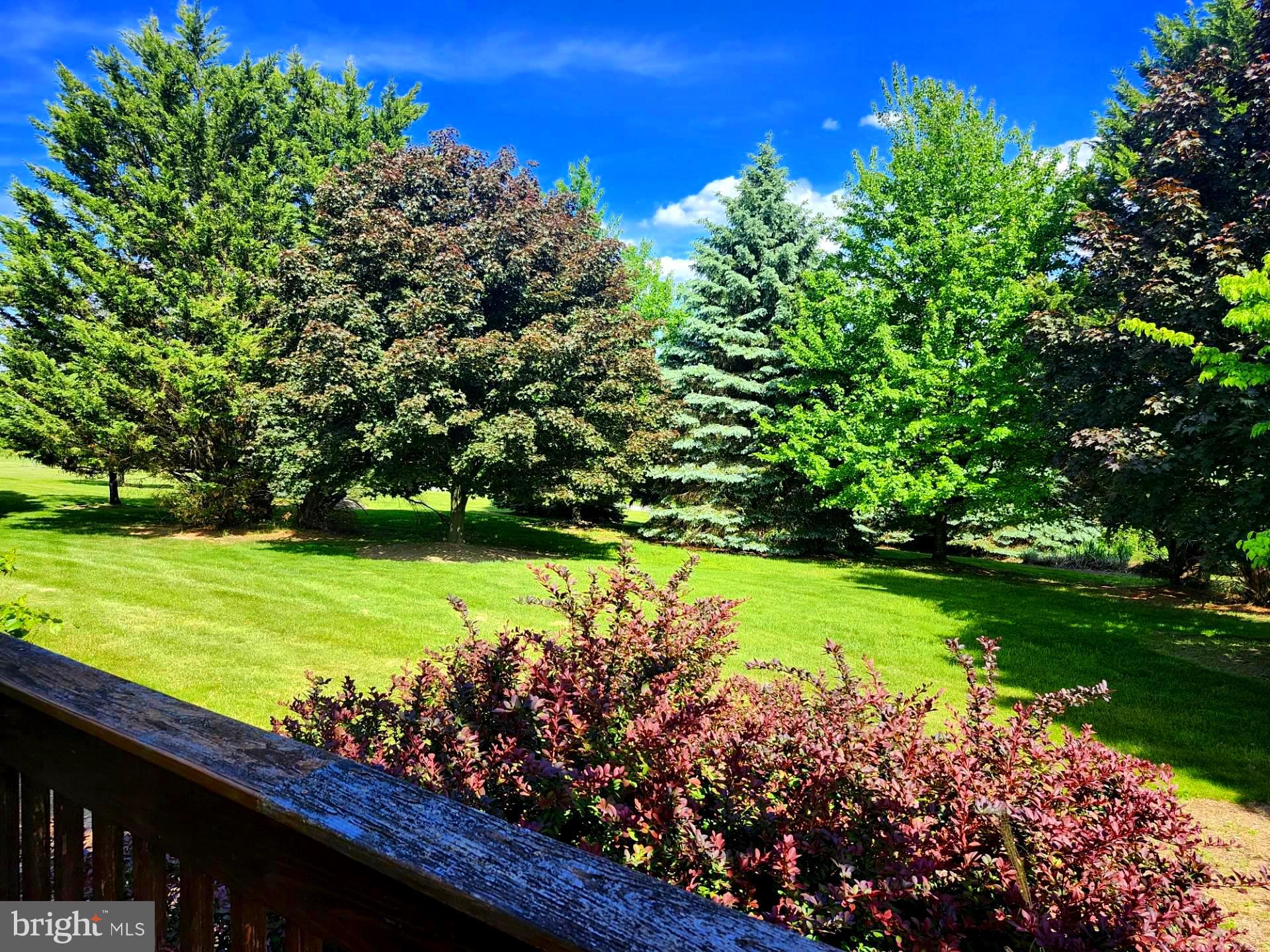 HIGH MOUNTAIN ORCHARDS - Residential