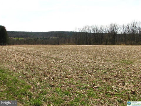 Vacant Land For Sale - Fredericks Grove Road<br/> LEHIGHTON, PA 18235