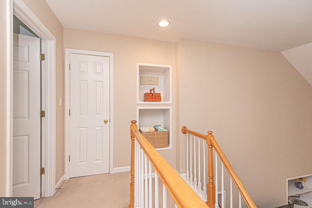 BEAR TRAP - Residential