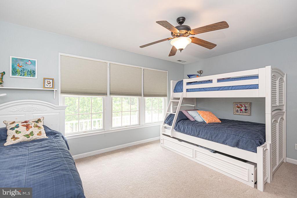 BEAR TRAP - Residential