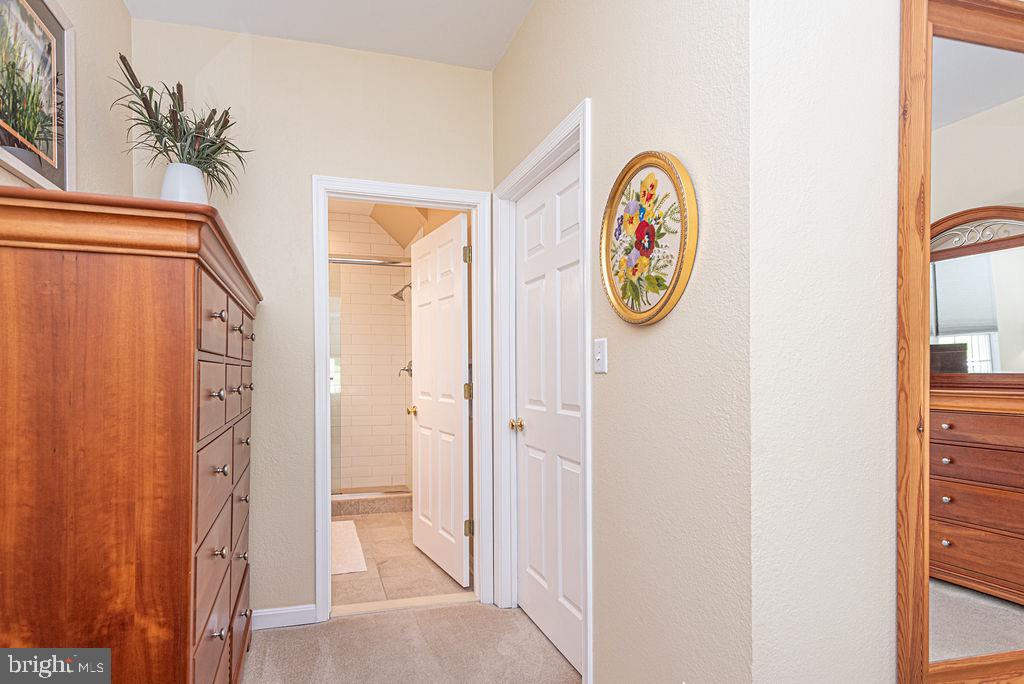 BEAR TRAP - Residential