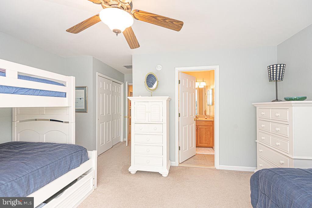 BEAR TRAP - Residential
