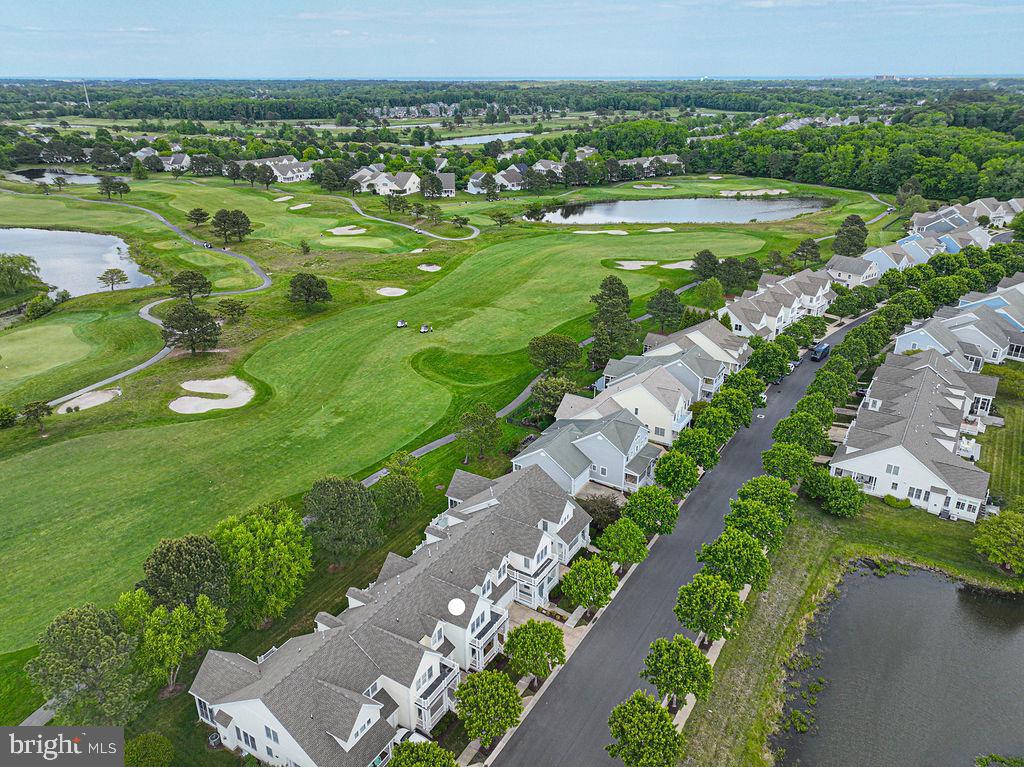 BEAR TRAP - Residential