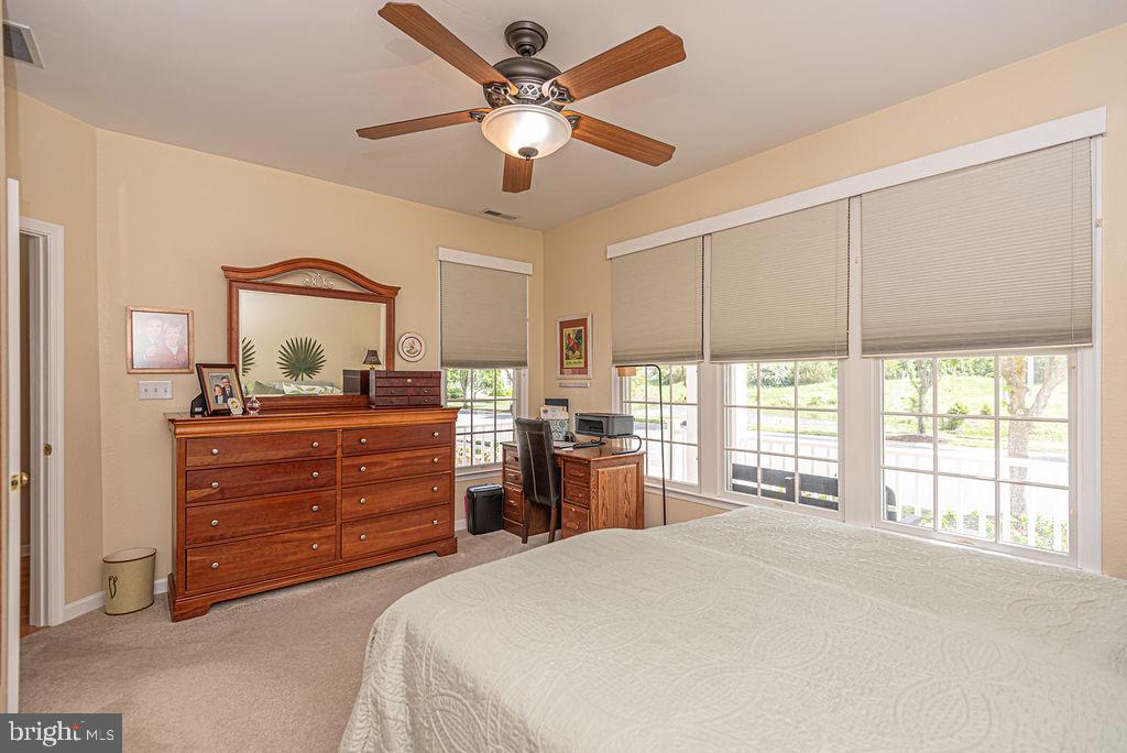 BEAR TRAP - Residential