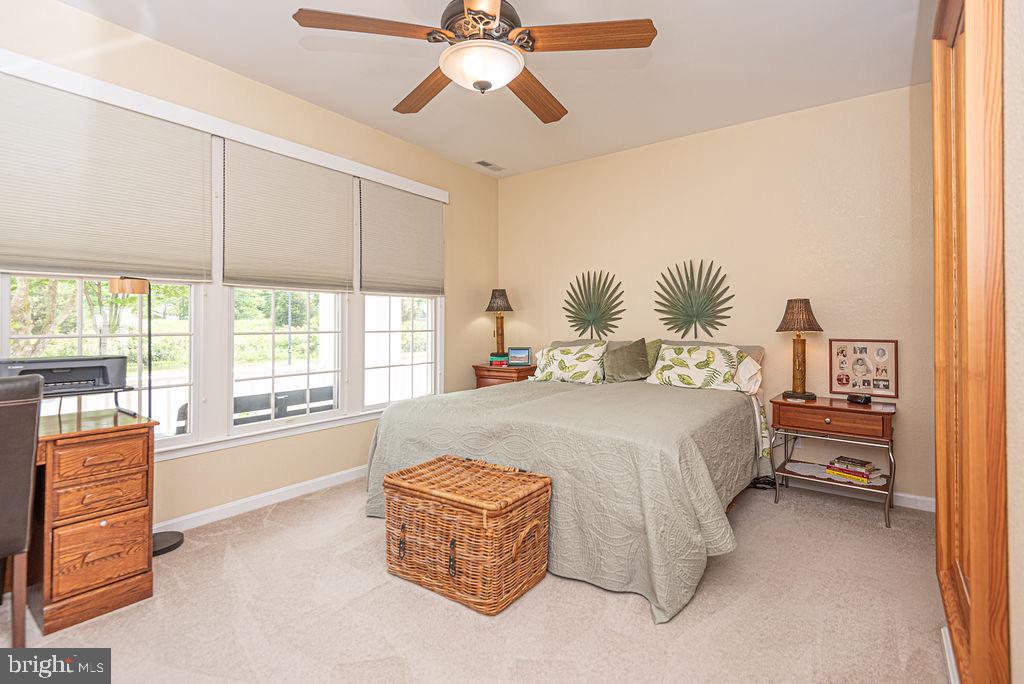 BEAR TRAP - Residential