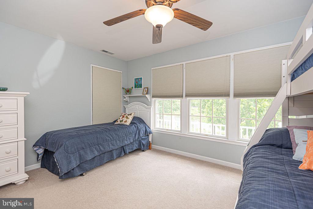 BEAR TRAP - Residential
