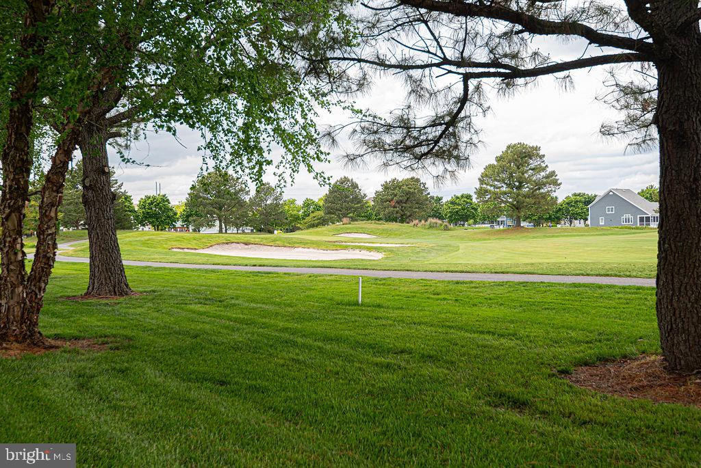 BEAR TRAP - Residential