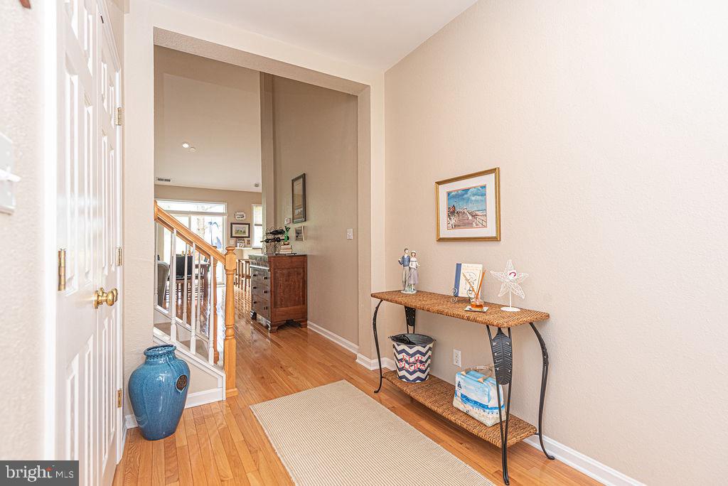 BEAR TRAP - Residential
