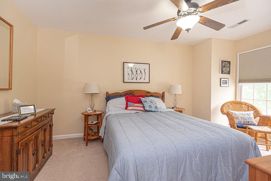 BEAR TRAP - Residential