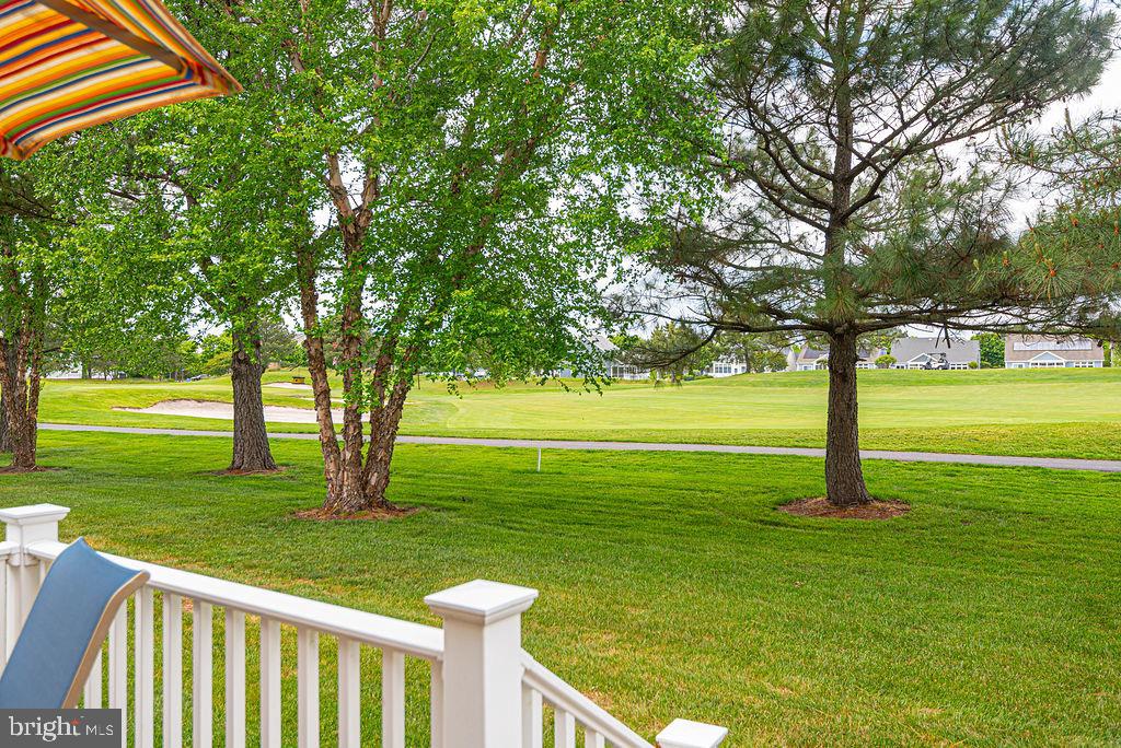 BEAR TRAP - Residential