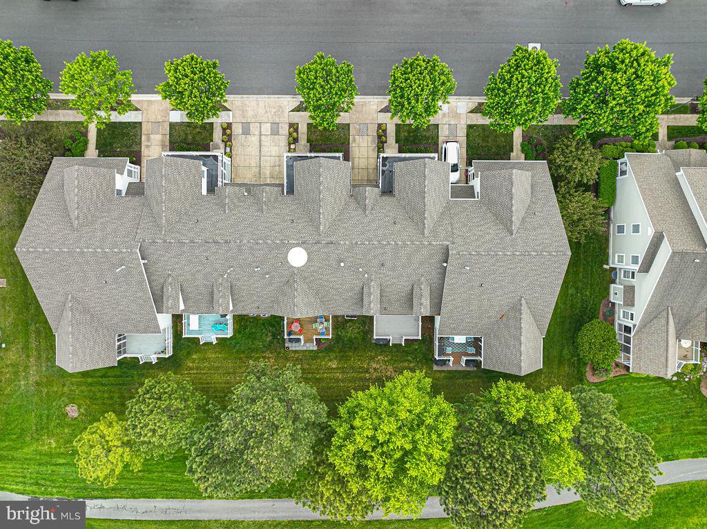 BEAR TRAP - Residential