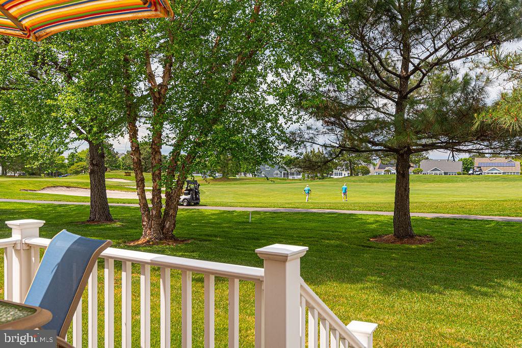 BEAR TRAP - Residential