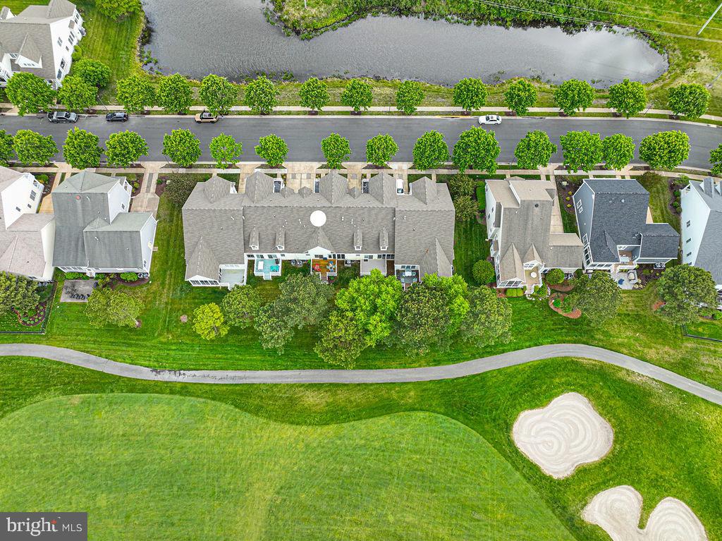 BEAR TRAP - Residential