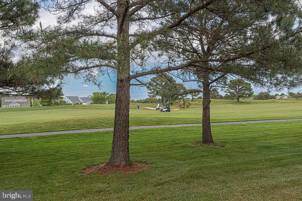BEAR TRAP - Residential