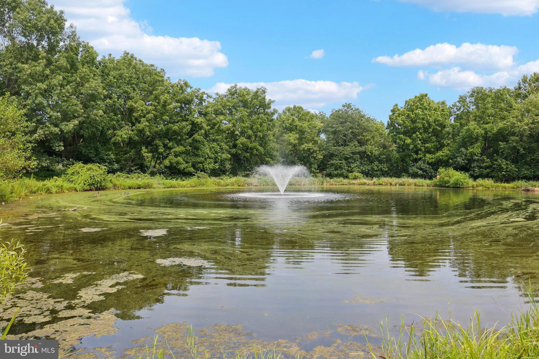 North Wales, Pennsylvania 19454, United States, 3 Bedrooms Bedrooms, ,3 BathroomsBathrooms,Residential,Contingent,181395