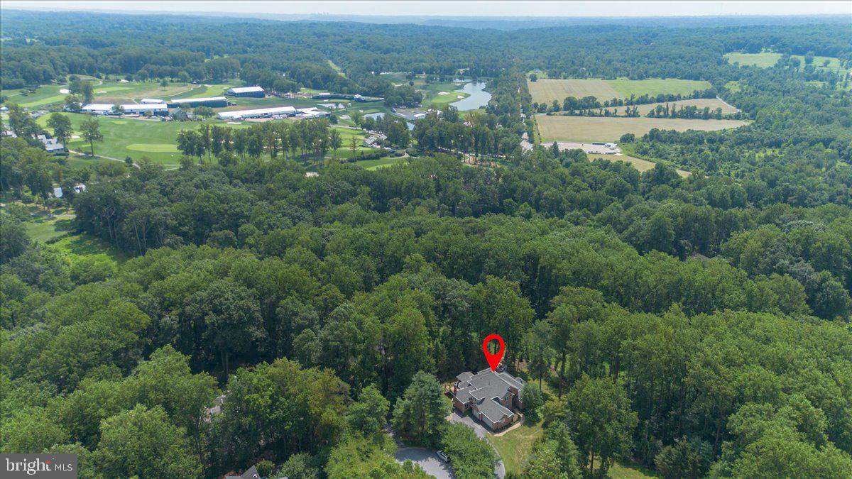 3 FOREST BLUFF COURT