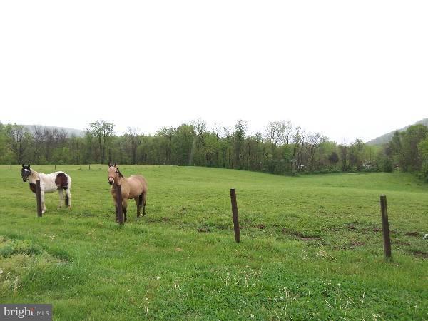 NONE AVAILABLE - Farm