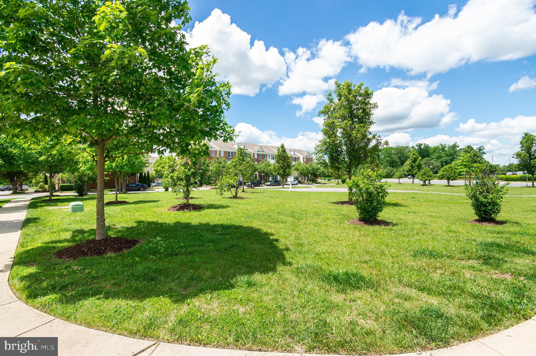 AMBERLEA AT SOUTH RIDING - Residential