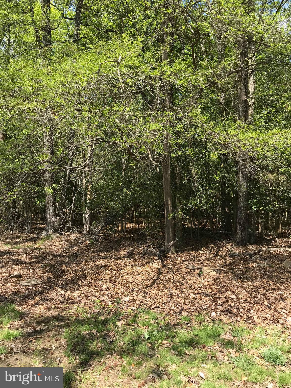 LIVINGSTON GROVE - Residential