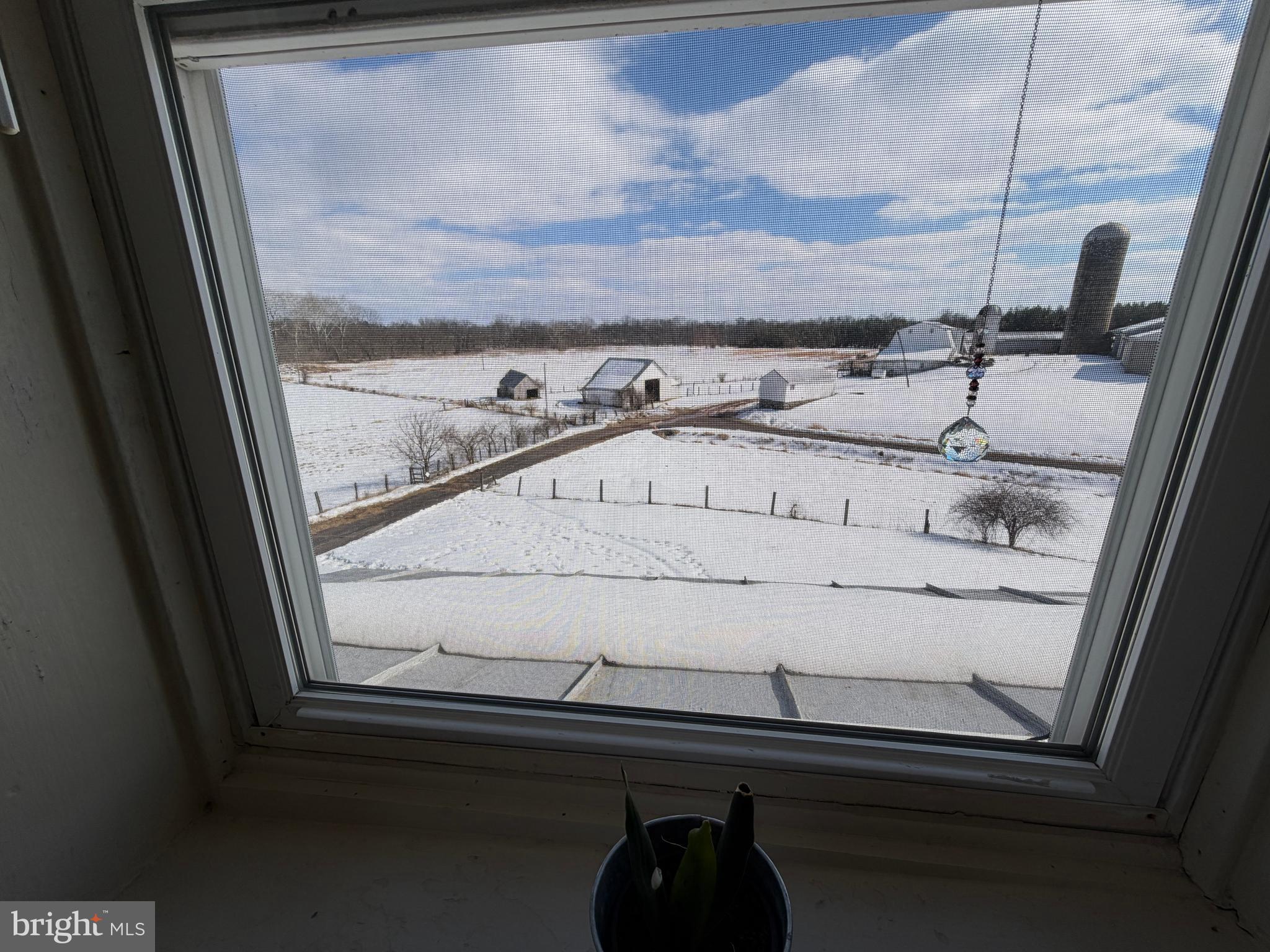 NONE AVAILABLE - Farm