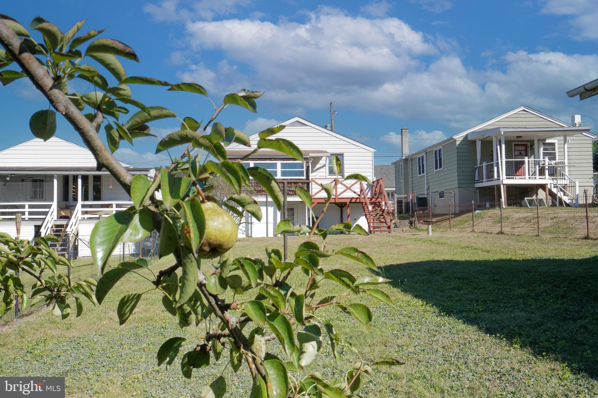 TAMAQUA BORO - Residential