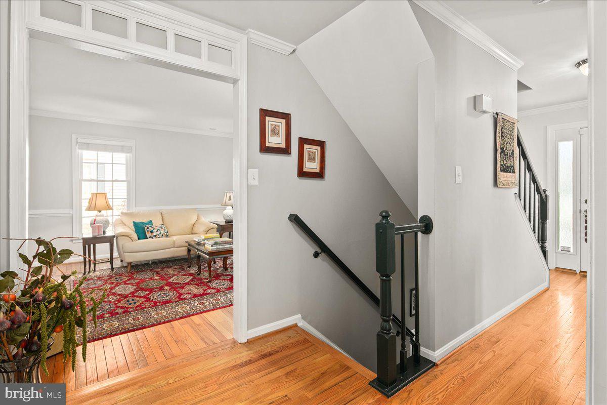 CHARLESTON COLLECTION - Residential