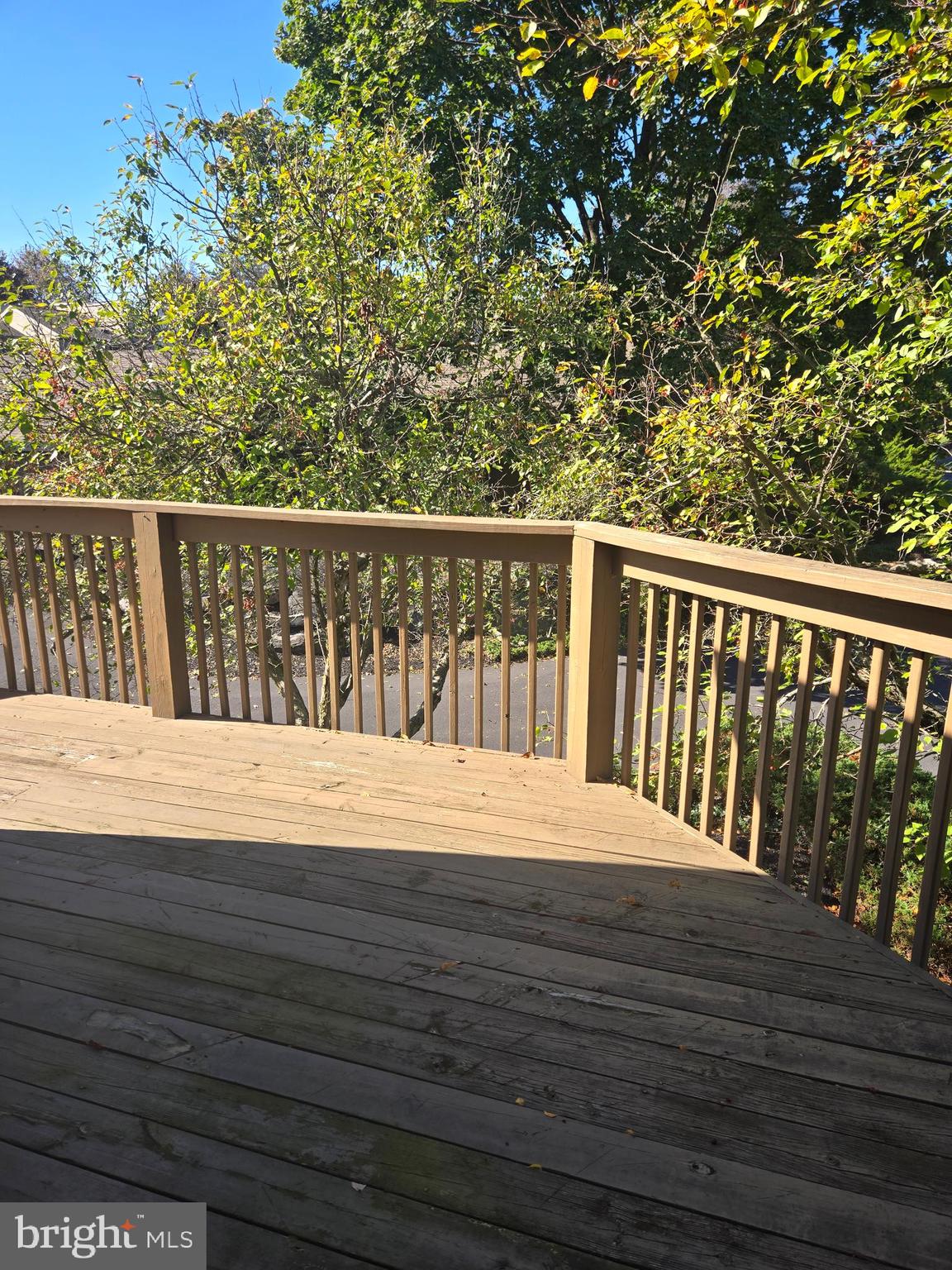 RUNNYMEADE FARMS - Residential Lease