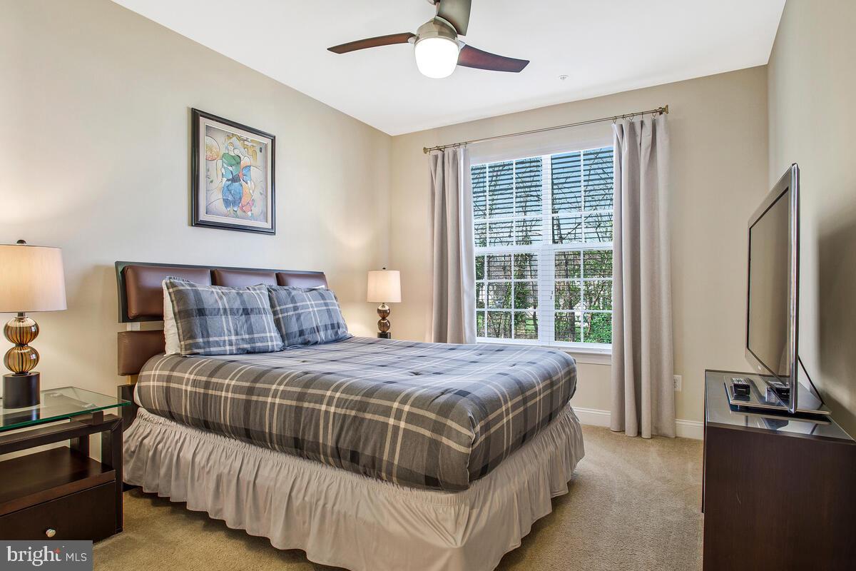 CHAPEL GLEN - Residential