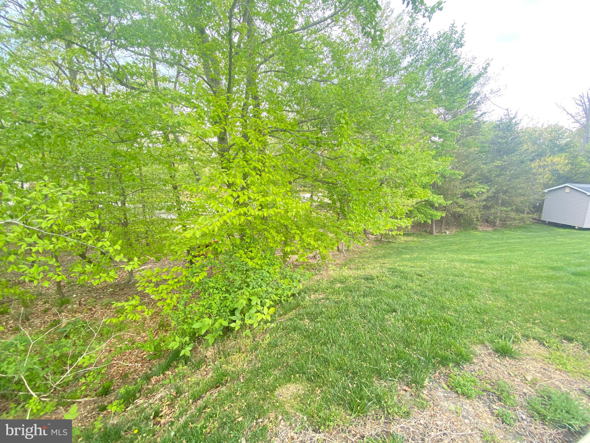 WATERFORD COVE-PLAT 1> - Residential