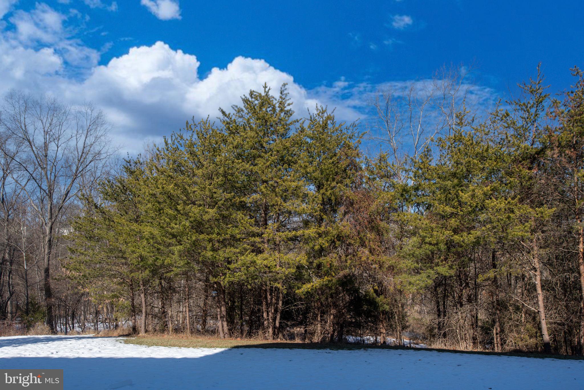 LANSDOWNE - Residential