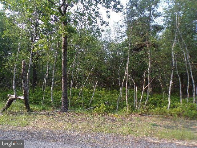 INDIAN MOUNTAIN LAKES - Land